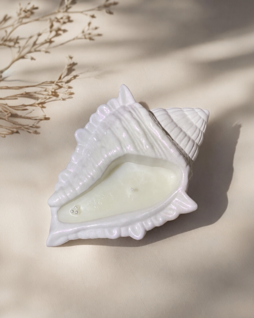 Coastal Shell Tray Κερί
