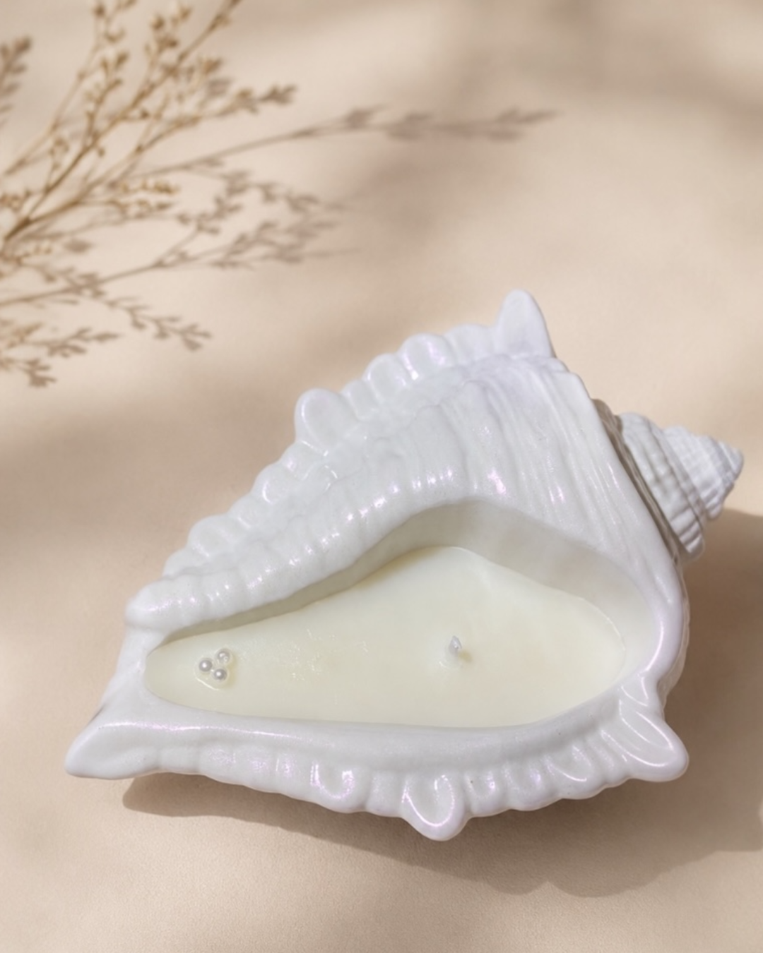 Coastal Shell Tray Κερί